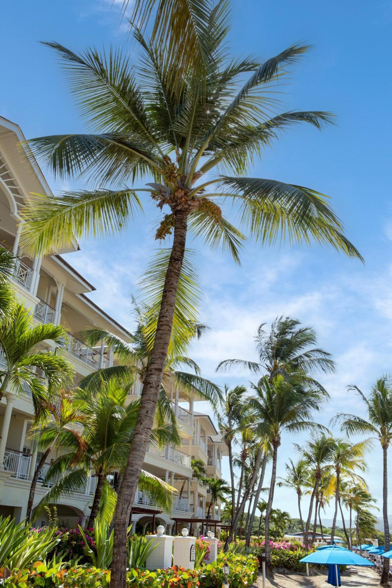 The Landings Resort And Spa - All Suites Gros Islet Zewnętrze zdjęcie